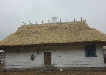 Słoma żytnia prosta skoszona snopowiązałką