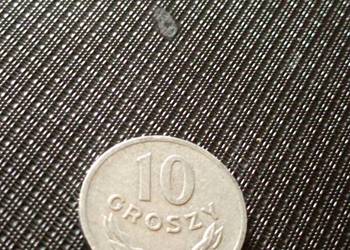 Sprzedam 10 gr 1973 r zzm