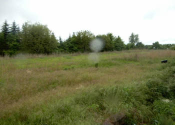 Syndyk sprzeda udział 1/8, Oborzany, działki nr 240, nr 459, nr 505 - cena… Syndyk sprzeda udział 1/8, Oborzany, działki nr 240, nr 459, nr 505 - cena…