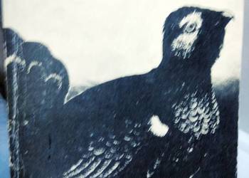 Miłosz Dolina Issy literatura polska