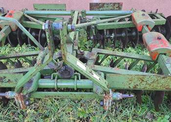 Talerzówka Eberhardt