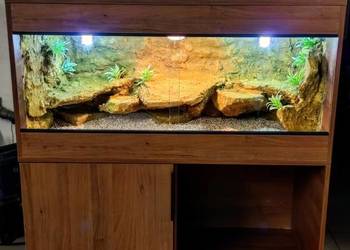Terrarium dla agamy brodatej żółwia greckiego gekona lamparciego