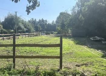 Działka 0,34 ha dojazd asfaltowy z dwóch stron, rzeczka, starodrzew