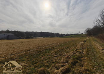 Działka Radlin 3467m2