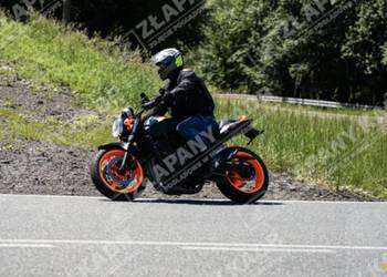 Honda hornet 600