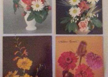 Kartki pocztowe z kwiatami, odkrytki Kartki pocztowe z kwiatami, odkrytki