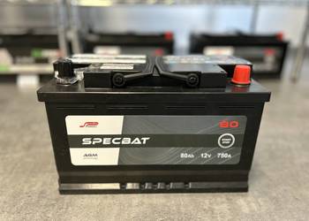 Akumulator AGM 80Ah 750A SPECBAT