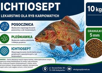 Ichtiosept preparat pleśniawka posocznica 10kg
