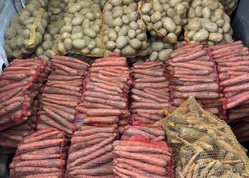 Ziemniaki i marchew od rolnika