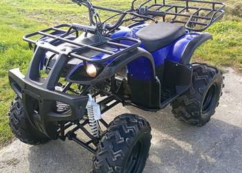 Quad 250 4+ WSTECZNY