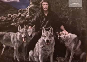 Album Steve Hackett ‎– Wolflight