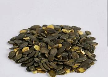 Pestka dyni bezłupinowej