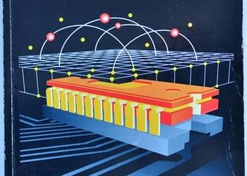 ANATOMIA PC - METZGER PIOTR ANATOMIA PC - METZGER PIOTR