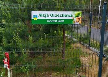 Działka rekreacyjna sprzedam