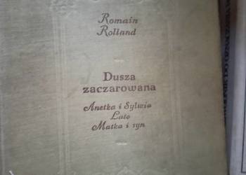 Dusza zaczarowana książki wysyłka gratis Trójmiasto Gdańsk Gdynia Sopot