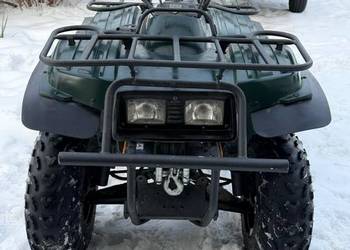 Quad bear tracker 250