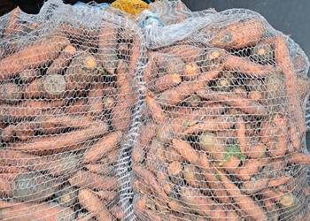 Marchew paszowa odpadowa