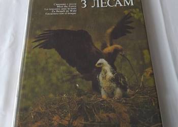 Spotkanie z lasem – Cпатканне з лесам