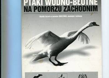 Ptaki wodno-błotne na Pomorzu Zachodnim