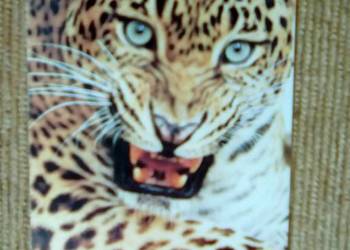 PANTERA CENTKOWANA -GROŹNY SSAK DRAPIEŻNY