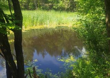 Działka budowlana z dostępem do jeziora