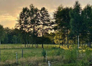 Działka leśna w pięknej okolicy