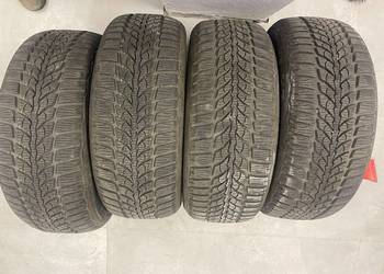Komplet opon Diplomat Winter HP 205/55 R16" rok 2021