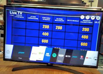 Telewizor LG 43" wszystko mający, cena 850 zł