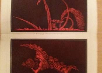 Stara niemiecka rycina z Meyers Lexikon 1897 rok