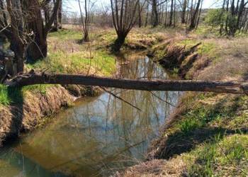 Działka z linią brzegową 130 m