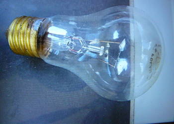 Zarowki 24 Volty,60W,E27  10 sztuk-10 zl