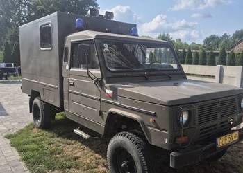 Tarpan honker sanitarka