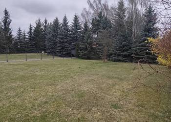 Działka 962 m² Wojkowice – ogrodzona, równa, blisko lasu i miasta
