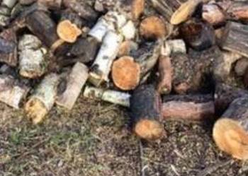 Bardzo tanie drewno opałowe niskiej jakości, dowóz.