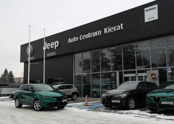 Alfa Romeo Tonale 1.5 T4 GSE mHEV Edizione Speciale DCT Bezwypadkowy, Serw…