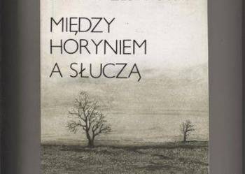 Między Horyniem a Słuczą - Grzesiakowa