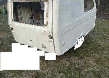 skorupa Niewiadów n126