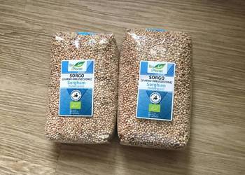 Sorgo BIO ziarno kasza bezglutenowa