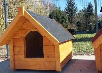 buda domek dla psa i psów