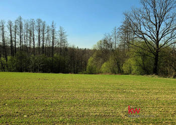 Oferta sprzedaży gruntu 3040m2 Świętoszówka