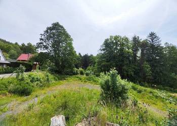 Działka w górach w m. Piechowice - Górzyniec