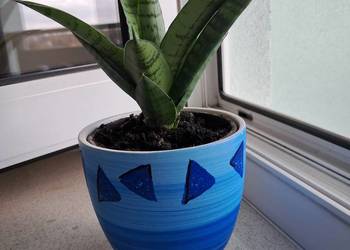 Ładna osłonka/doniczka kwiatek Gratis!