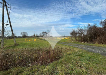 Dwie działki w Żukach - rolna i pod zabudowę