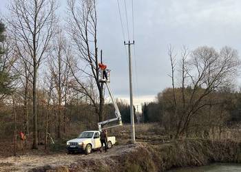 Przygotowanie terenu pod inwestycje, mulczowanie, koszenie,
