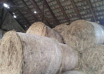 Sprzedam siano w balotach