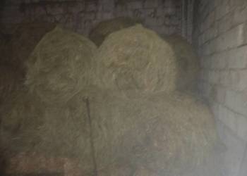 Siano Bele 125 z 2025 roku.