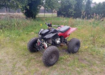 Bashan 200