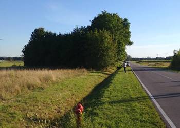 Sulejów, gm. Jadów, 50 min od Wawy!