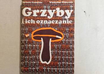 Grzyby i ich oznaczanie  (1988 r.)
