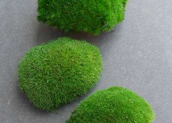 Mech Poduszkowy PREMIUM Medium Green 600g